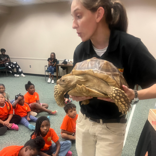 Screenshot 2026-06-18 163757 Image of a woman holding a large turtle and talking to an audience of young children
